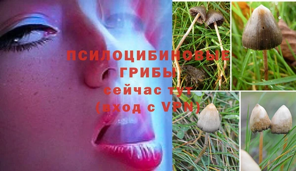 скорость Вязьма
